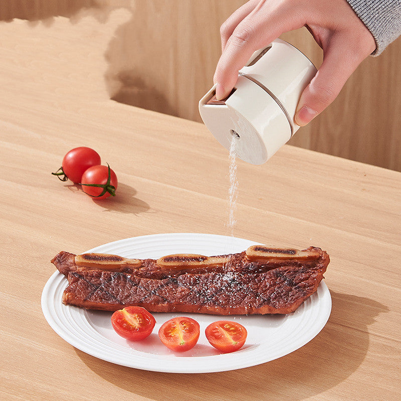 Magnetic Wall Mounted Seasoning Shaker